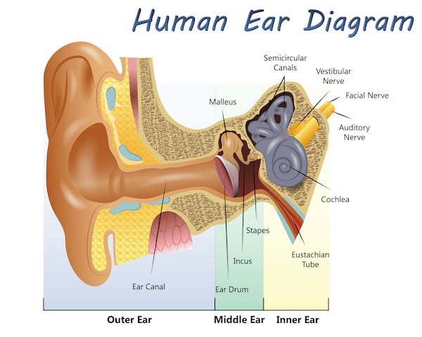 Natural Ear Ringing Relief - MartiScrub Blog